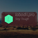 labodii.pro